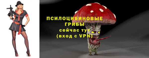 ALPHA PVP Нязепетровск