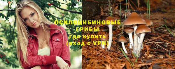 метадон Новозыбков