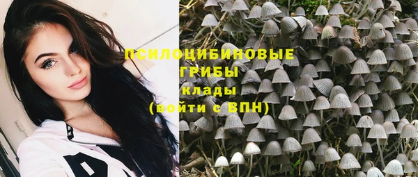ALPHA PVP Нязепетровск